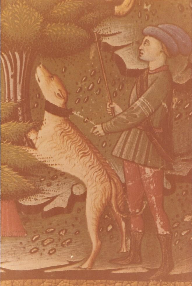 Treatise on Falconry and Venery-15th century